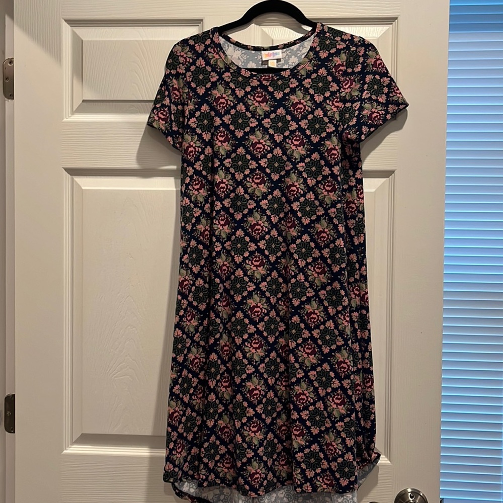 LuLaRoe Carly Dress